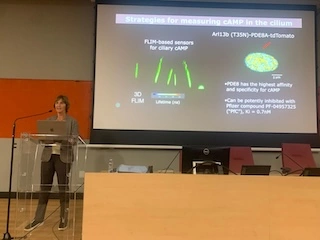 Aldebaran Hofer in full swing