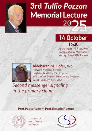 Tullio Pozzan Memorial Lecture 2025 flyer