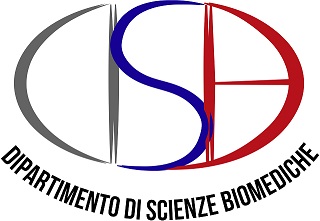 DSB logo